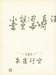 小说:我真没想当皇帝啊