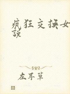疯狂交换女友小说