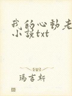 我的心动老板娘小说txt封面