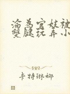 沦为官妓被扒开双腿玩弄小说封面