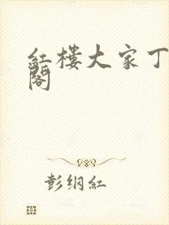 红楼大家丁笔趣阁封面