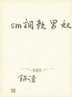 sm调教男奴文