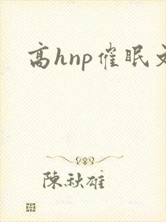 高hnp催眠文