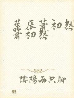 叶辰萧初然叶辰萧初然