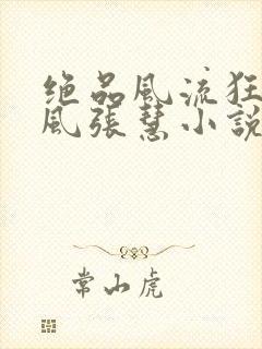 绝品风流狂医林风张慧小说全集免费