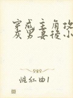 穿成主角攻的炮灰男妻后小说封面