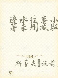 边水往事小说原著未删减版封面