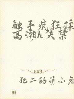 触手疯狂揉肉蒂高潮h失禁