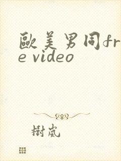 欧美男同free video