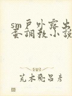 sm户外露出跳蛋调教小说封面