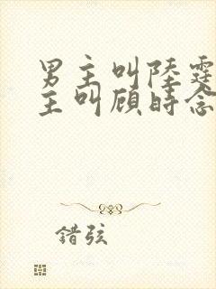 男主叫陆霆骁女主叫顾时念的小说