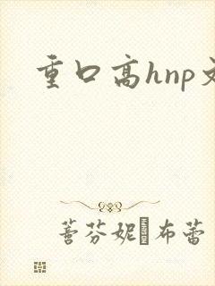 重口高hnp文