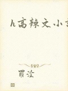 h高辣文小说