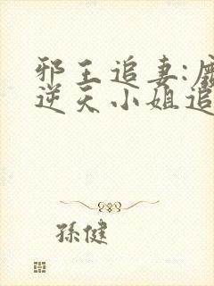邪王追妻:废材逆天小姐追书