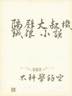 隔壁大叔机长是饿狼 小说