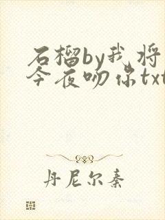 石榴by我将在今夜吻你txt