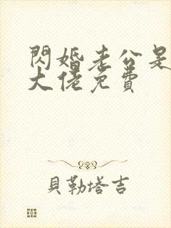 闪婚老公是豪门大佬免费