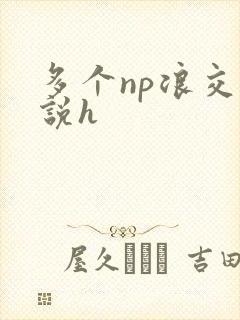 多个np浪交小说h封面