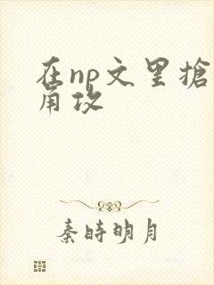 在np文里抢主角攻