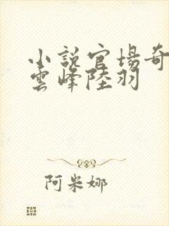 小说官场奇才刘云峰陆羽