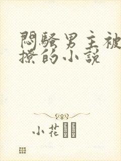 闷骚男主被女主撩的小说