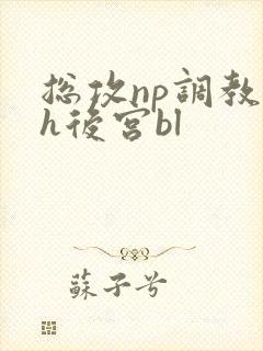 总攻np调教高h后宫bl