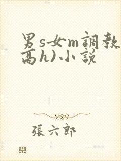 男s女m调教(高h)小说