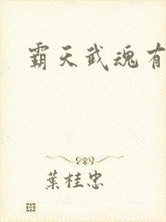 霸天武魂有声