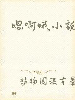 嗯啊哦小说h