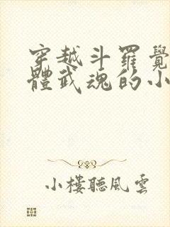 穿越斗罗觉醒本体武魂的小说