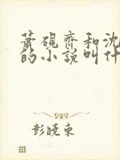 萧砚齐和沈梦晚的小说叫什么