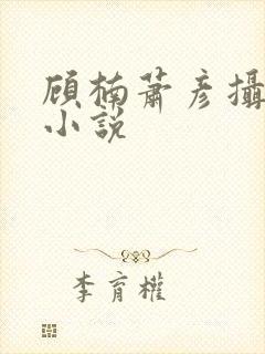 顾楠萧彦摄政王小说