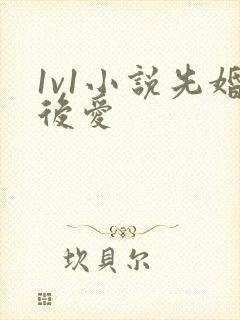 1v1小说先婚后爱