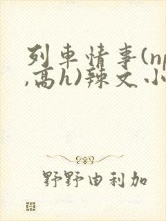 列车情事(np,高h)辣文小