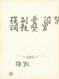 强制爱 囚禁 调教双男