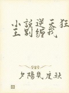 小说逆天狂妃邪王别缠我
