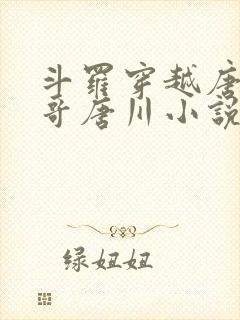 斗罗穿越唐三亲哥唐川小说