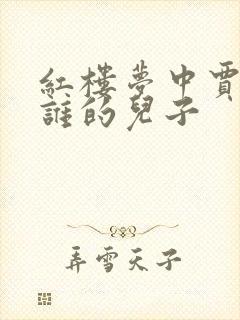 红楼梦中贾蔷是谁的儿子封面