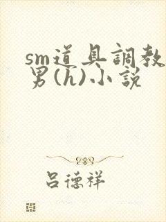sm道具调教男男(h)小说