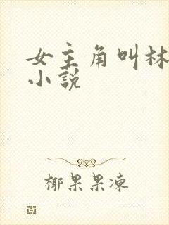 女主角叫林慧的小说封面