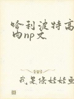 哈利波特高h纯肉np文