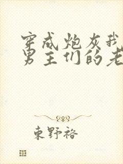 穿成炮灰我成了男主们的老婆
