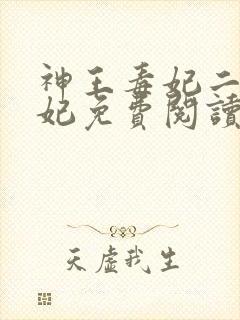 神王毒妃二嫁王妃免费阅读全文