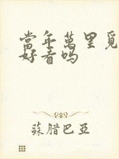 当年万里觅封侯好看吗