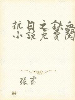 抗日之铁血八路小说免费阅读