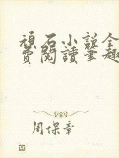 顽石小说全文免费阅读笔趣阁