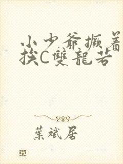 小少爷撅着屁股挨C双龙若封面