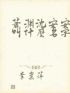 萧渊沈安安小说叫什么名字