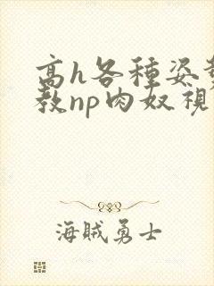 高h各种姿势调教np肉奴视频