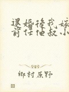 退婚后我嫁给了前任他叔小说